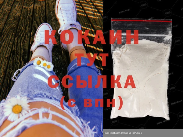соль ск Ельня