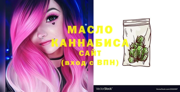 дмт Елабуга