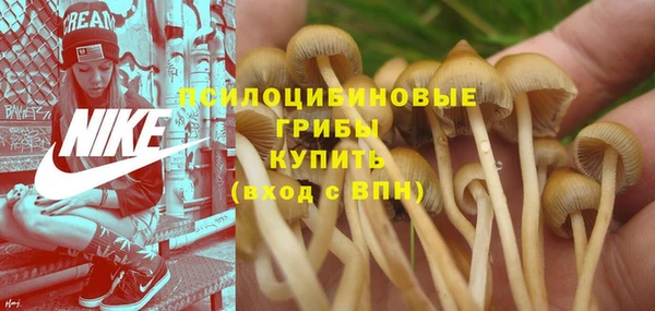 спайс Белоозёрский