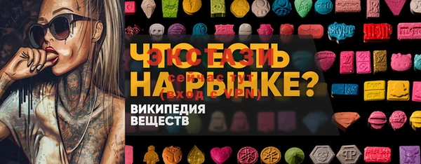 соль ск Ельня
