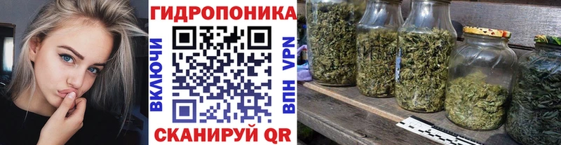 Шишки марихуана индика Минеральные Воды